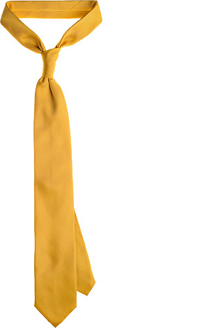 TIE_YELLOW_D0315 TIE_YELLOW_D0315
