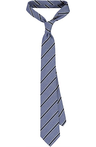BLUE_TIE_D132007 BLUE_TIE_D132007