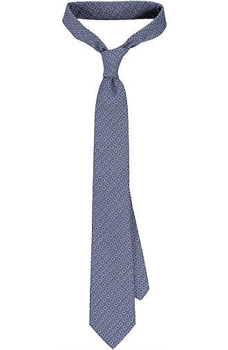 BLUE_TIE_D132009 BLUE_TIE_D132009
