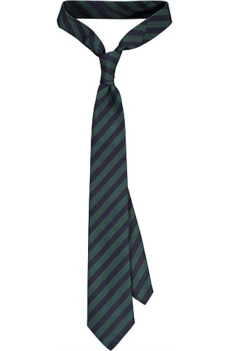 GREEN_TIE_D132010 GREEN_TIE_D132010