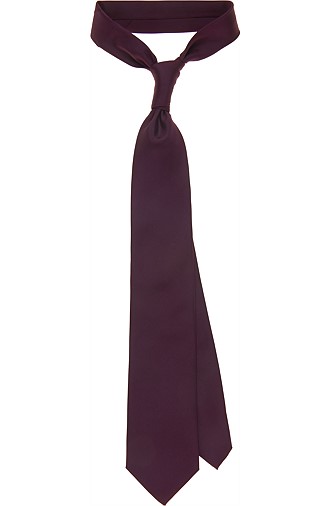 TIE_PURPLE_D0413 TIE_PURPLE_D0413