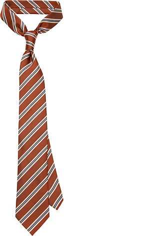 ORANGE_TIE_D131115
