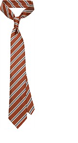 ORANGE_TIE_D131115